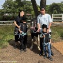 백두어린이공원 - 군포시 | 가성비 최고! 무료 체험 가득한 '렛츠런파크 제주' 주말 방문 후기