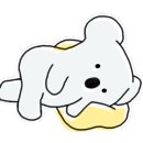 일품백송칼국수 이미지