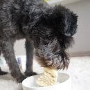 오 마이 리틀베이비 이미지