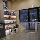 파인댕스 | 광교/수지 애견카페 애견운동장 "카페댕스"