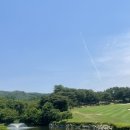 수원-0617 네이버블로그