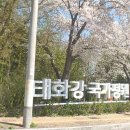강아지와 산책 이미지