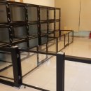 화이트펫# 이미지