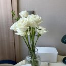 𝒲 12. 나의 야외웨딩스냅 기록 | 셔터드미뇽, 미닌메이크업, 베일즈 드레스 , 고터에서 셀프 부케