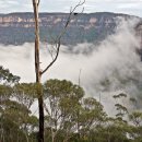 블루마운틴 이미지
