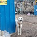 소구월사거리 이미지