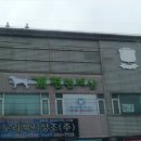 개 편한 애견샵 이미지