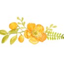 화훼장식기능사(초급) 이미지