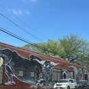 달라스 다운타운 하루만에 둘러보기｜JFK 관련 현장 Dealey Plaza부터 Deep Ellum, Dallas Museum of...