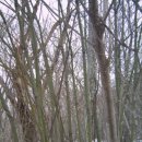 세성사료 이미지