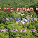 곰배령 길목에서 이미지