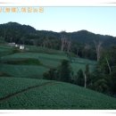 복수농장 이미지