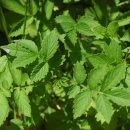 선학초등학교 이미지