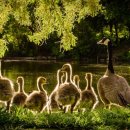 산마번역행정사사무소 이미지