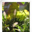 영서초등학교 이미지