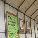 카페미밍코 | 광명 소하동 이케아 애견동반 맛집 오리고기 내돈내산 강씨네농장 &amp; 애견카페 미밍코