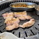샤로수흑돈
