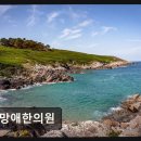 신망애한의원 네이버블로그