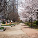 (주)송도공원 이미지