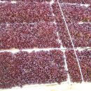 광일농장 이미지