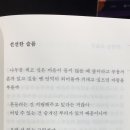 분홍고양이 이미지