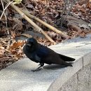 오대산 힐링타운 달빛동 이미지