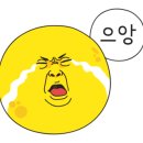 스마일명품꽈베기 이미지