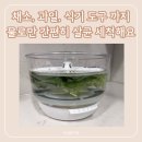 마이니모 과일 야채 버블 무선 세척기 세척 방법 농약 제거 후기