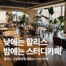 향동 카페 할리스 고양향동점 카공 노트북하기 좋은 향동H 스터디카페