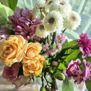 오래 | 꽃다발 선물 받은 후기와 오래 두는 관리 팁 정리