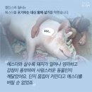 에스더 - 여수시 여서1로 88 | 에스더