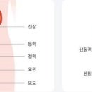 남자 왼쪽 옆구리 통증 원인은 이미지