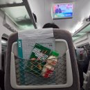 세방낙조 | [목포 진도 가족여행 1일차] 광명역-목포역 KTX, 오두막, 세방낙조_솔직개인후기, 가족여행루트추천