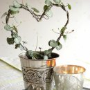 대한항공정우회 이미지