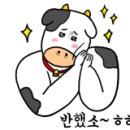 방배참치 이미지