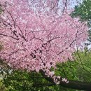 흥륜사 - 1429 | 흥륜사