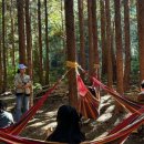 클린환경제주 이미지