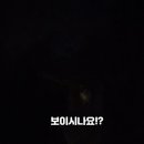 신사마트