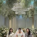 미소축사 | 아이폰 스냅 미소스냅 | 아모르아트 그랜드홀 내돈내산 솔직 후기(사진 많음 주의)