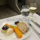 인천 ↔ 홍콩 아시아나 비즈니스 OZ0745/OZ0746 기내식 및 후기