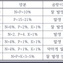 유박과 유기질비료... 이미지