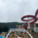 메가존(주) | 비오는날 홍천 비발디파크 오션월드 오픈런 여름막차 후기 어트랙션 꿀팁 공유