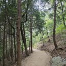 물무산행복숲둘레길 | 영광 물무산 행복숲 둘레길