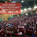 보라인셀덤 이미지