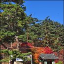 별장횟집 이미지