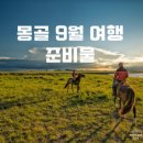 (주)푸른환경 | 2025년 몽골여행 완전 정복: 푸른 초원의 매력부터 필수 준비물까지, 이 글 하나로 끝!