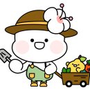 나누세 환경