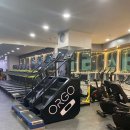 스타일 피트니스 이미지