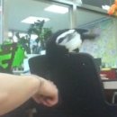 승산공인중개사사무소 이미지