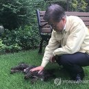 토리 이미지